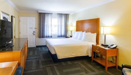 Standard Room, 1 King Bed