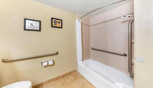 King Room - Disability Access - Non-Smoking