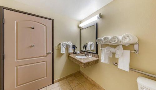 King Room with Roll-in-Shower - Accessible/Non-Smoking