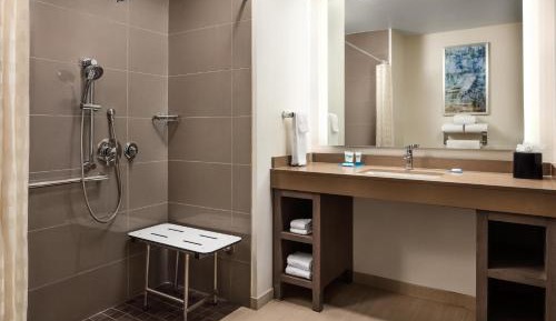 King Studio Suite with Sofa Bed and Roll-In Shower - Disability Access