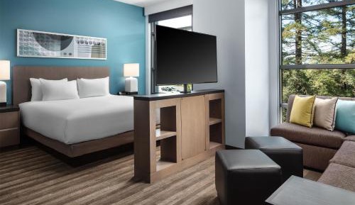 King Studio Suite with Kitchen and Sofa Bed