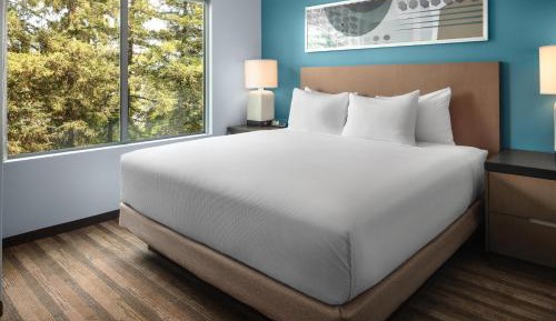 One-Bedroom King Suite with Sofa Bed and Kitchen