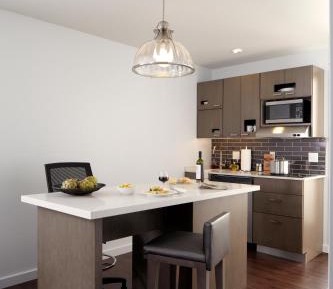 King Studio Suite with Sofa Bed and Kitchen