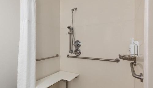 King Room with Roll-In Shower - Mobility/Hearing Accessible - Non-Smoking