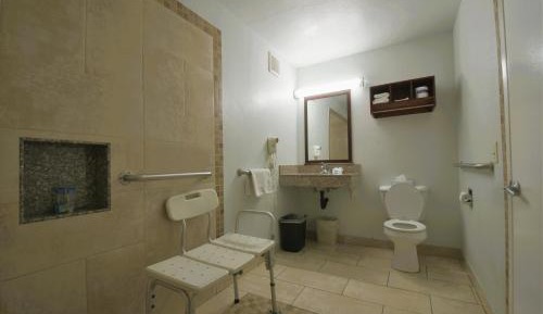 King Room with Roll-In Shower - Disability Access