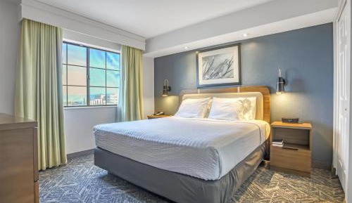 King Suite with Roll-In Shower, Sofa Bed and Living Room - Disability Access/Non-Smoking