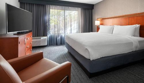 King Room with Sofa Bed and Balcony - Hearing Accessible