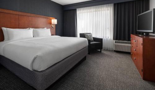 Suite, 1 King, Sofa bed
