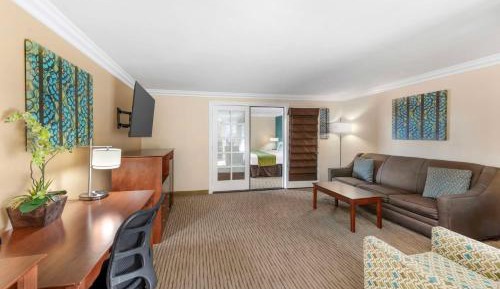 One-Bedroom King Suite