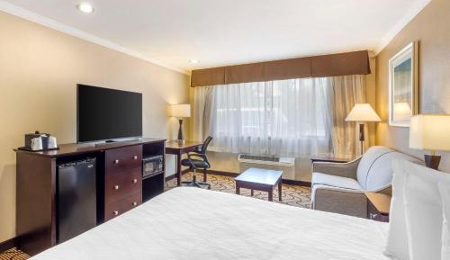 King Apartment with Sofa Bed and Full Kitchen - Non-Smoking