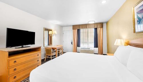 Queen Suite with Mobility Accessible Roll-In Shower