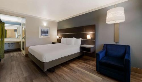King Room with Roll-in Shower - Disability Access/Non-Smoking