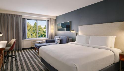 King Room with Roll-In Shower and Sofa Bed - Mobility Access/Hearing Accessible