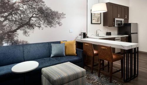 Studio, 1 King, Sofa bed, Mountain view
