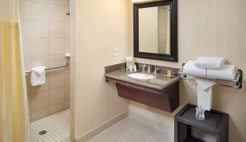 King Room with Roll-In Shower - Mobility Accessible