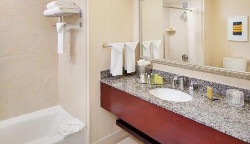 One-Bedroom King Suite with Sofa Bed