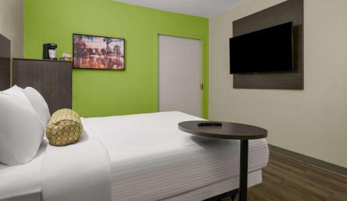 Queen Room with Mobility Accessible Roll-In Shower