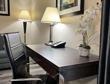 King Suite
