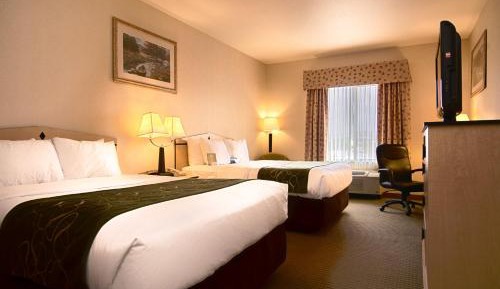Queen Room with Two Queen Beds - Non-Smoking