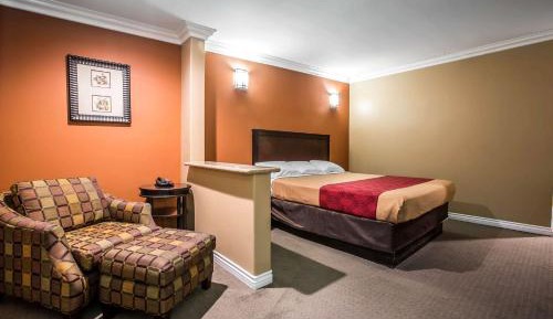 Deluxe King Studio Suite - Non-Smoking