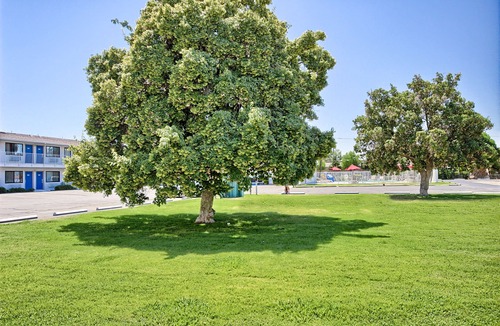 Raisin Hotel | Motel 6-Fresno, CA - Blackstone North