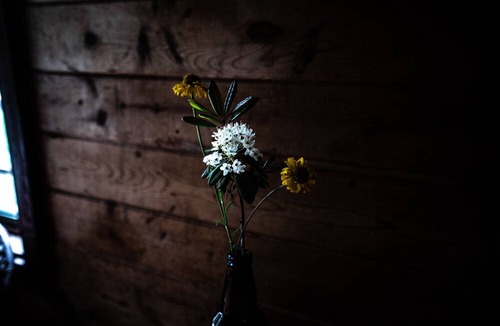 Smith River Cabin | Private Off Grid cabin on North Fork of Smith River - WiFi - Pet Friendly