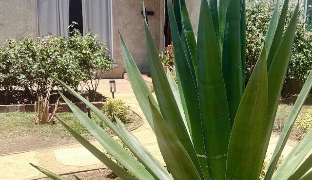 Spanish Oasis in Miracle Mile w/Backyard