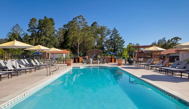 Pet-friendly Room w/Patio | Scenic Resort w/Mountain Views